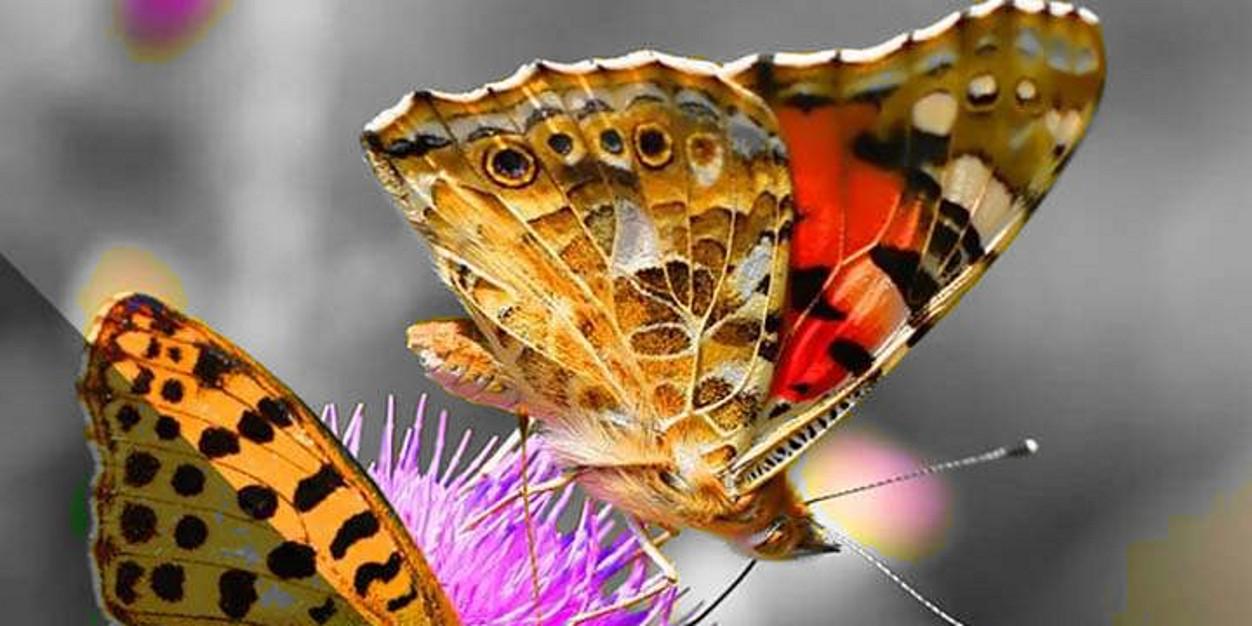 rickmukherjee7's profile banner image