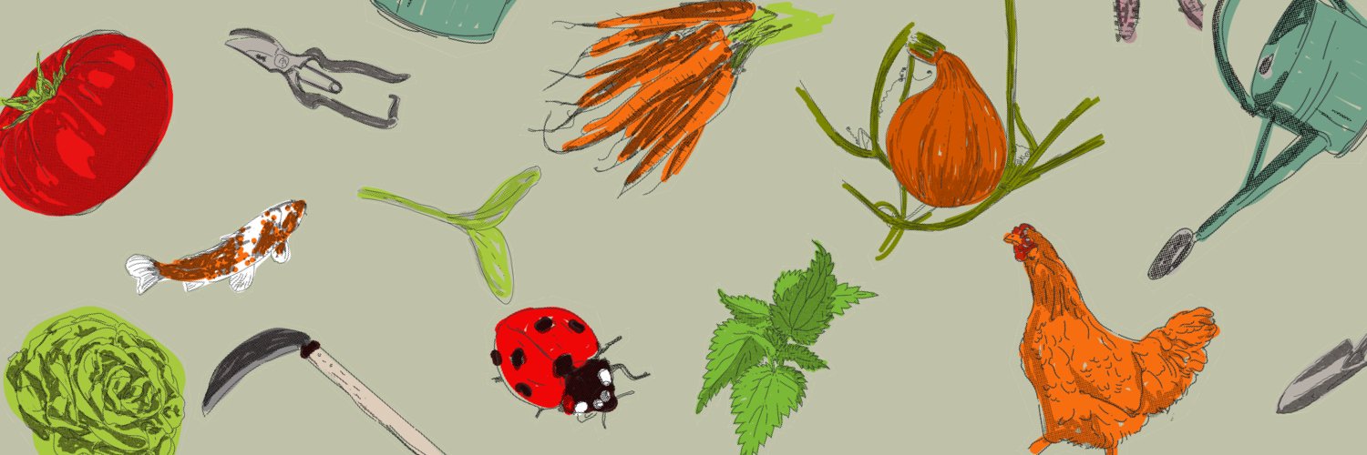 Alexandre Brachet banner