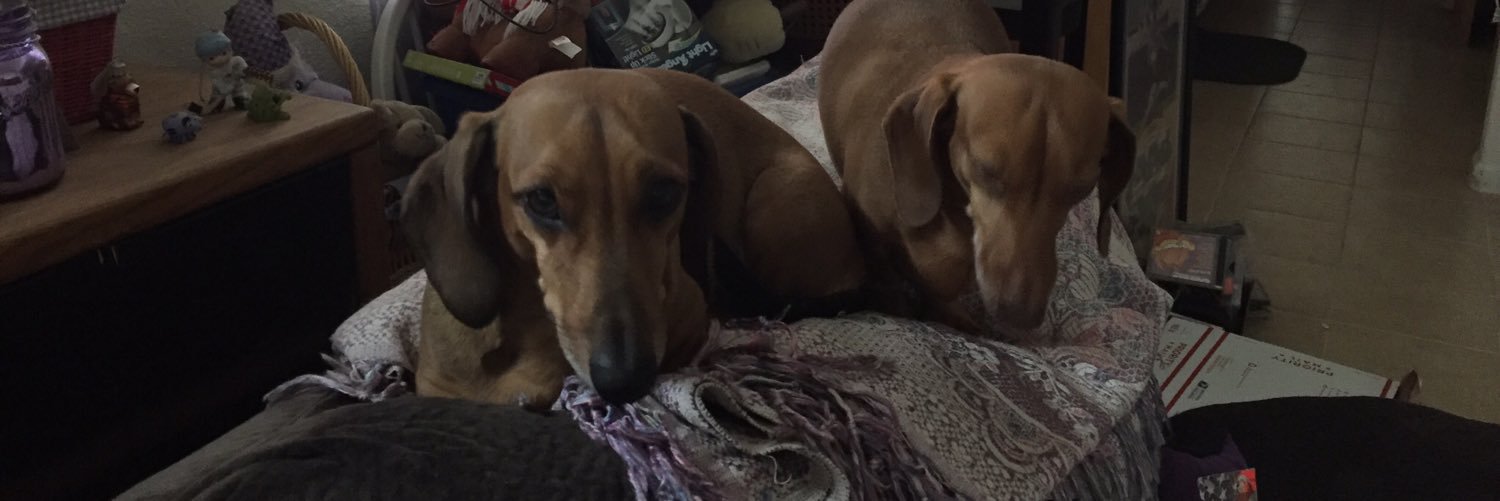 Angie formally The TaB Lady now The FaB Lady banner