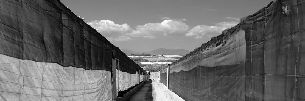nuria_faz's profile banner image