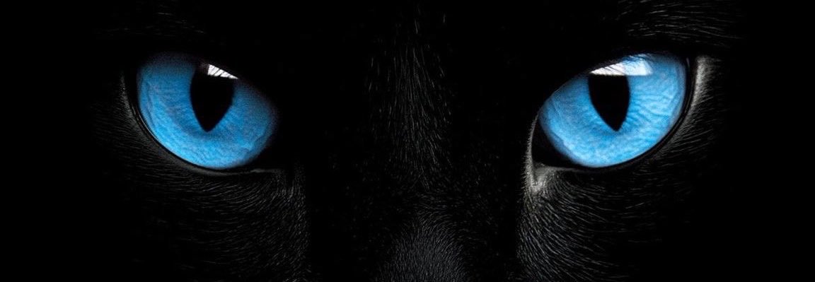 smith_ej20's profile banner image