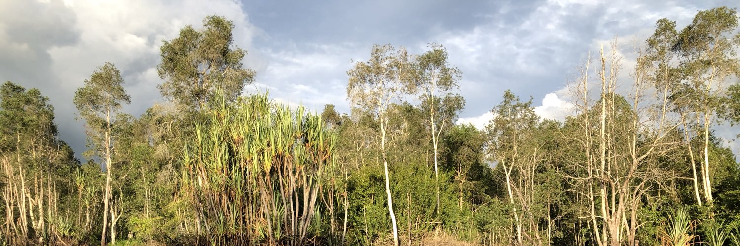 Jeffrey Chatellier banner