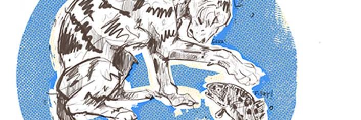 Fredifredfred's profile banner image