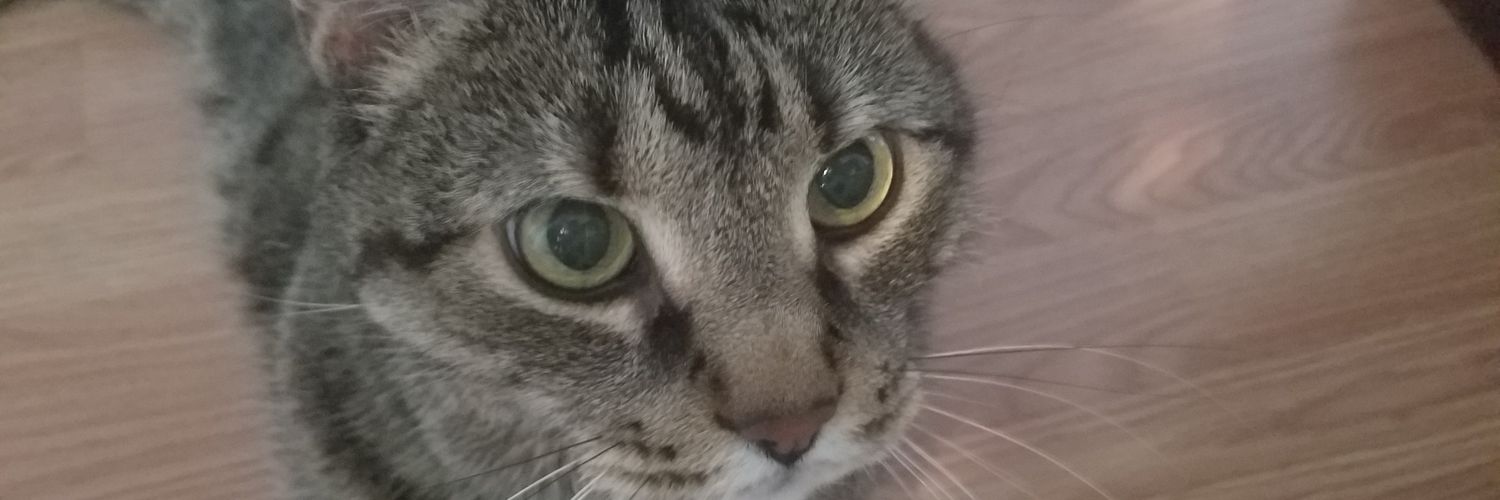 __hails__x's profile banner image