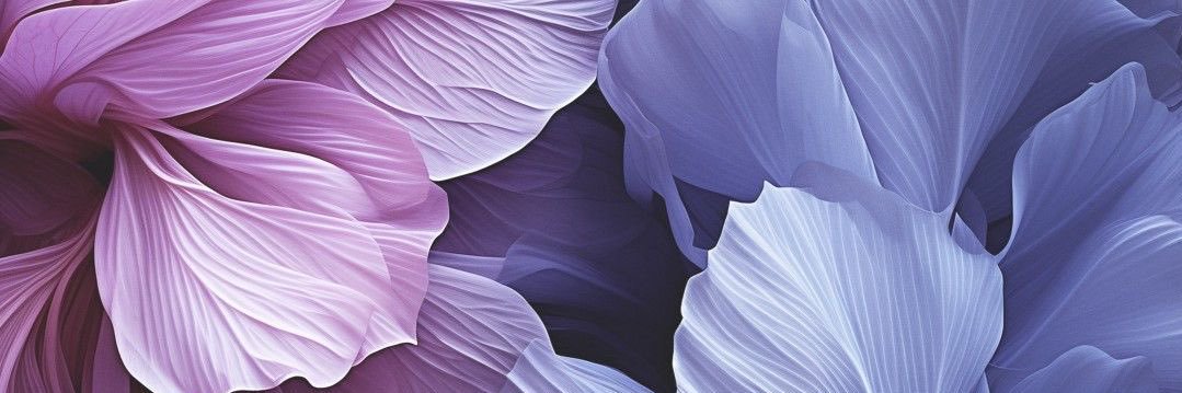 so_mari's profile banner image