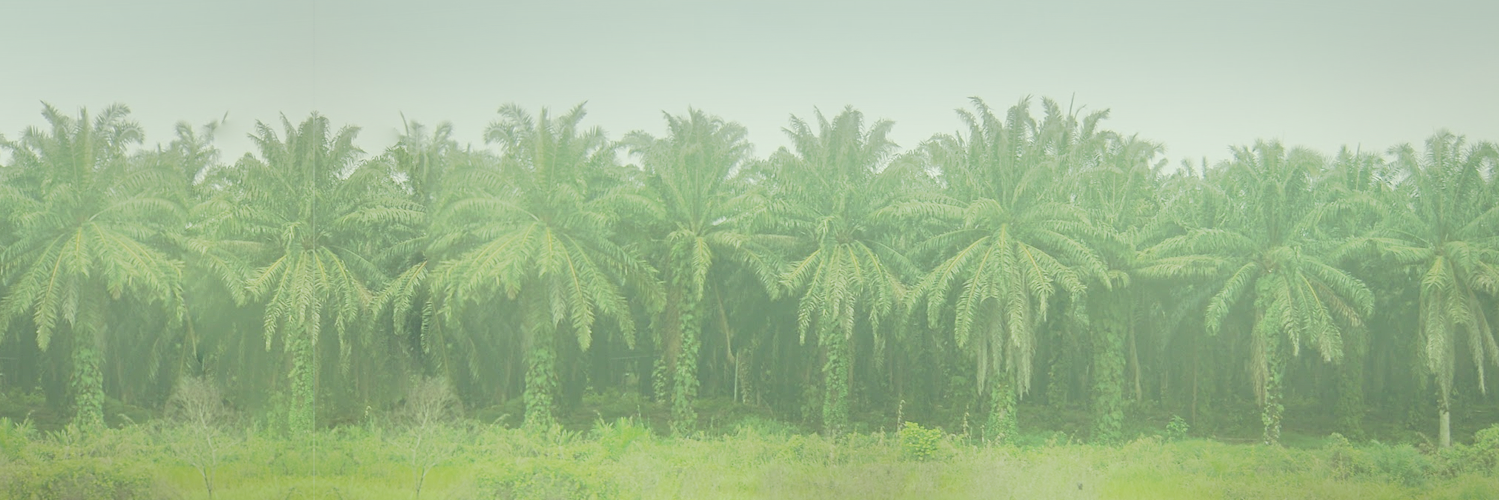 MrLog2's profile banner image