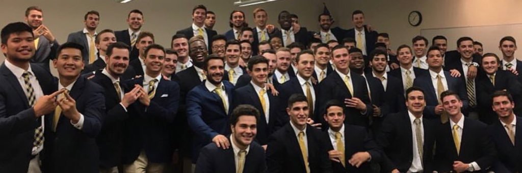 Delta Upsilon at UCF banner