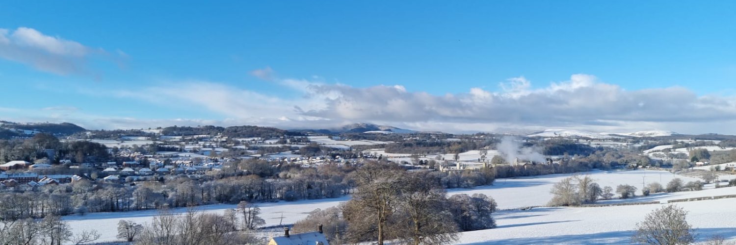 Cyngor Sir y Fflint banner