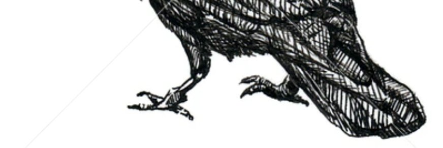 Shi_macos's profile banner image