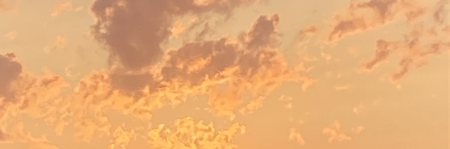lbularda_'s profile banner image