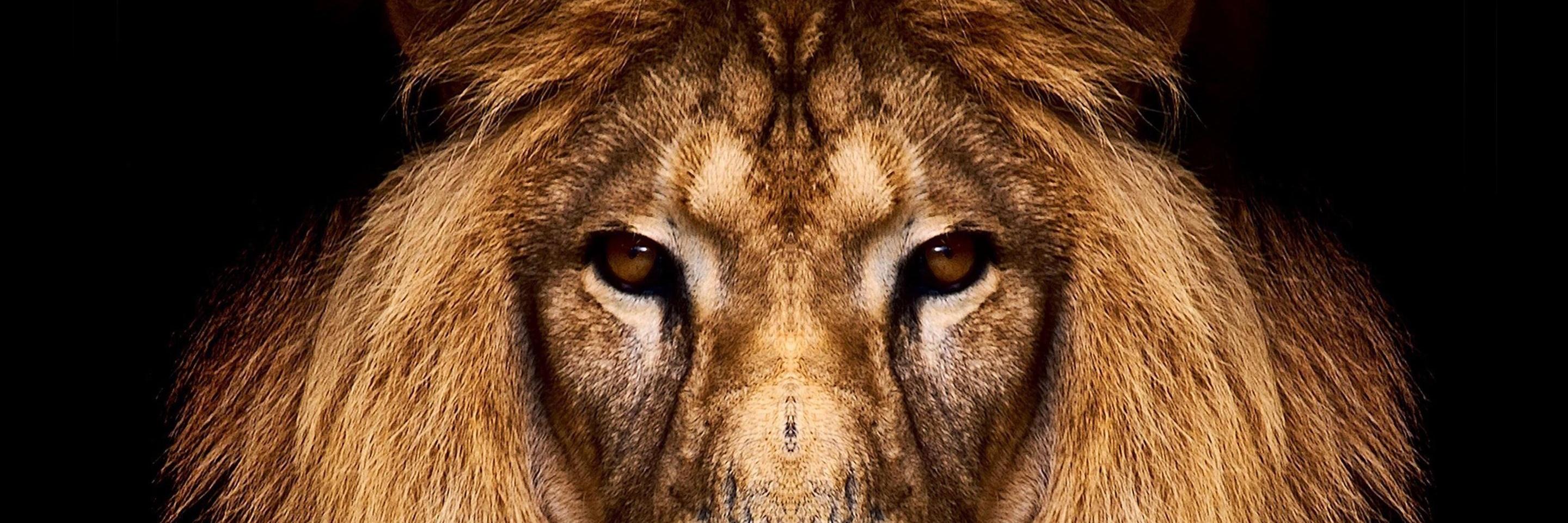 10NumarAdamm's profile banner image