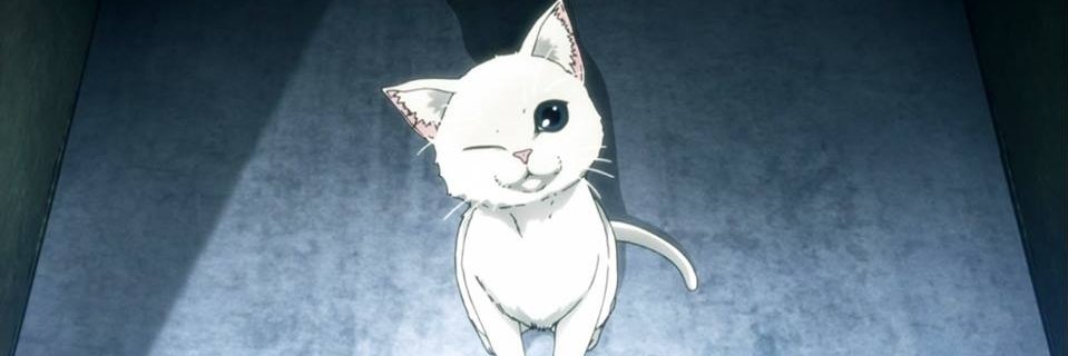 Wando542's profile banner image