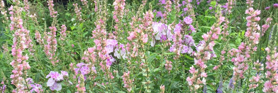 Arie Cees de Jong banner