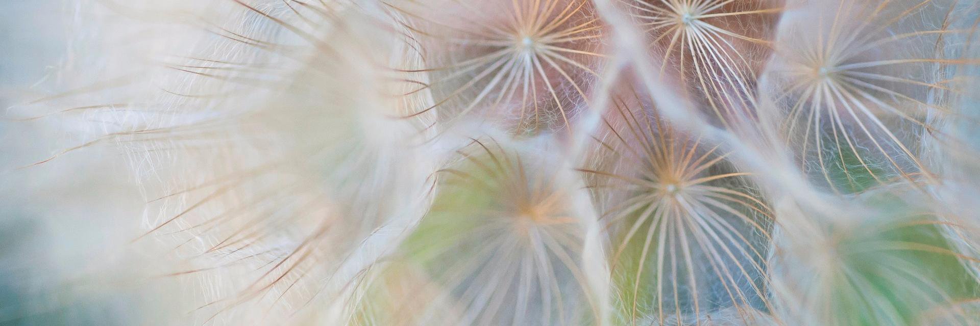 FarisOG's profile banner image