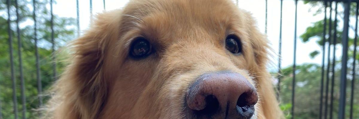 luiscarlosap12's profile banner image