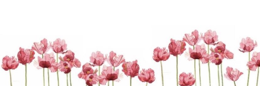 Brooke Mccarty banner