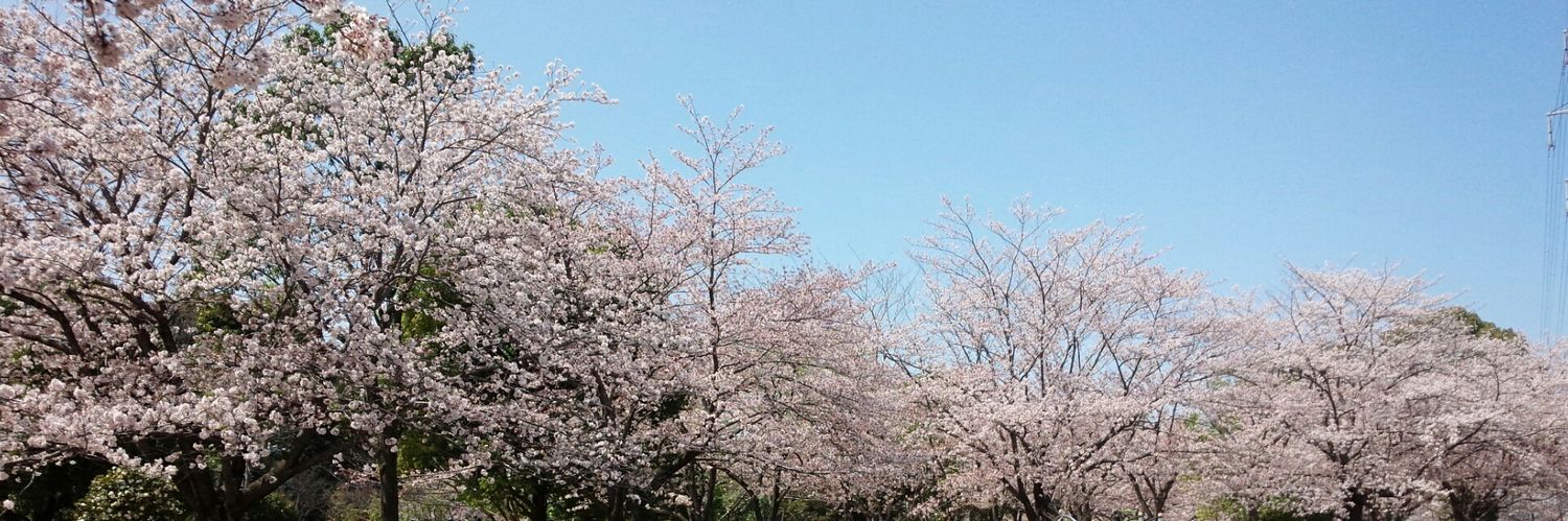 なしこ banner