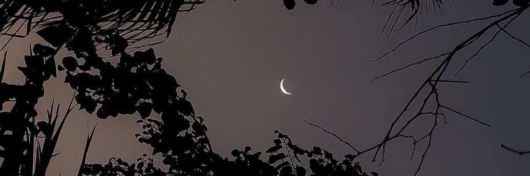 Eliceo Agila Méndez banner