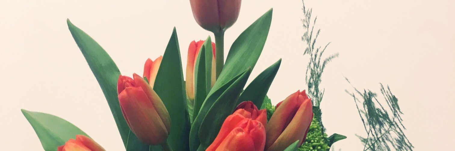 blumenstudio's profile banner image
