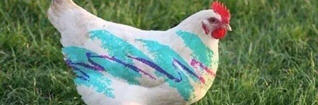 EatingJoeBurger banner