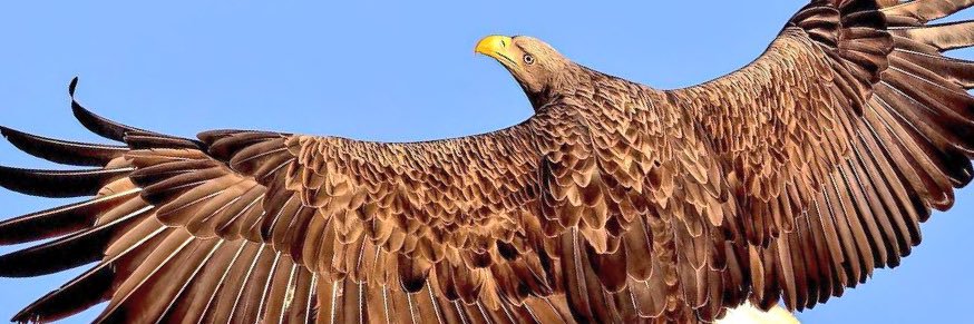 بهنام 🇮🇷 banner
