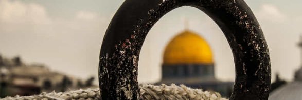 naser_almaimoni's profile banner image