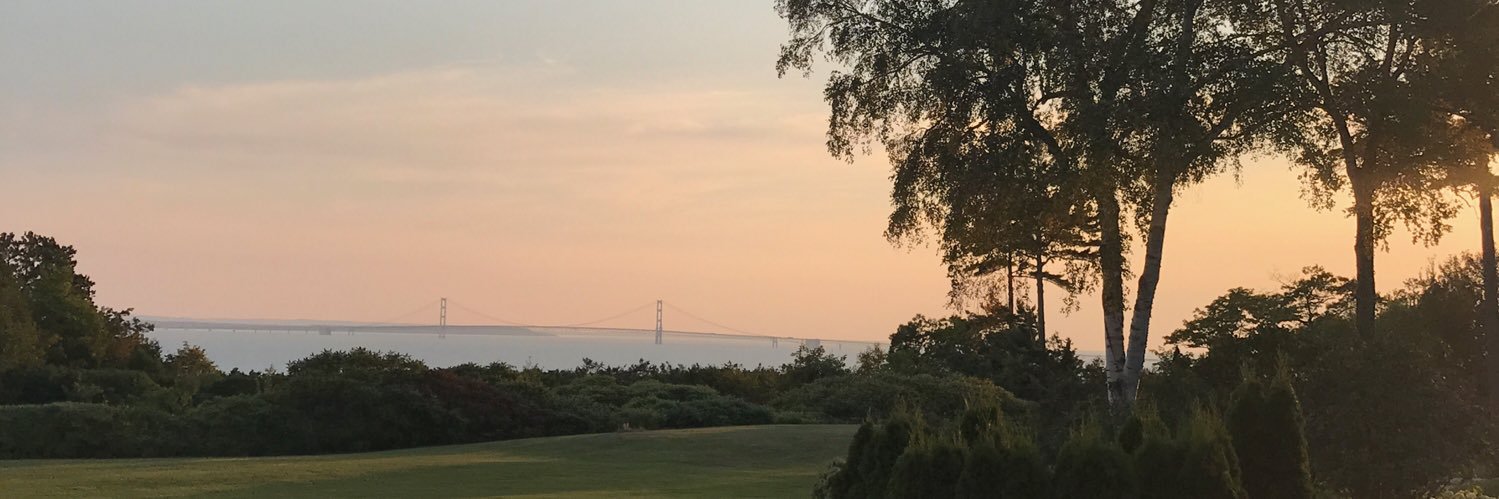 MSJADE519's profile banner image