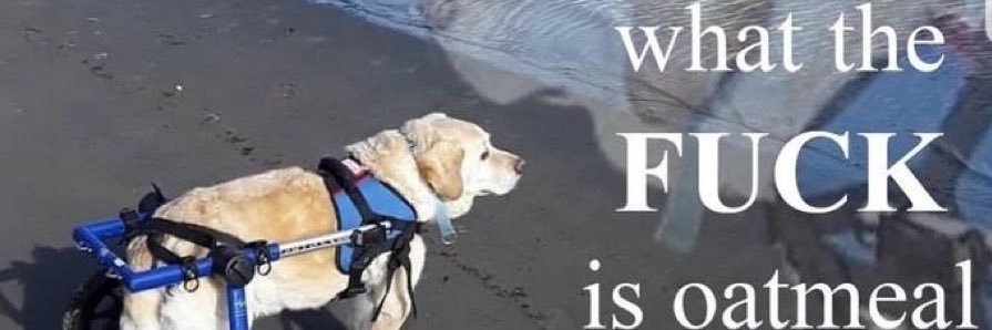suhwheatie's profile banner image