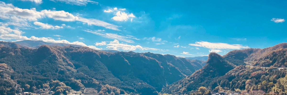 gintonbo910's profile banner image