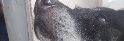 Sewerism's profile banner image