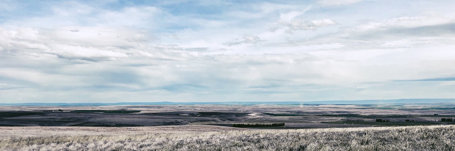 anderbran's profile banner image