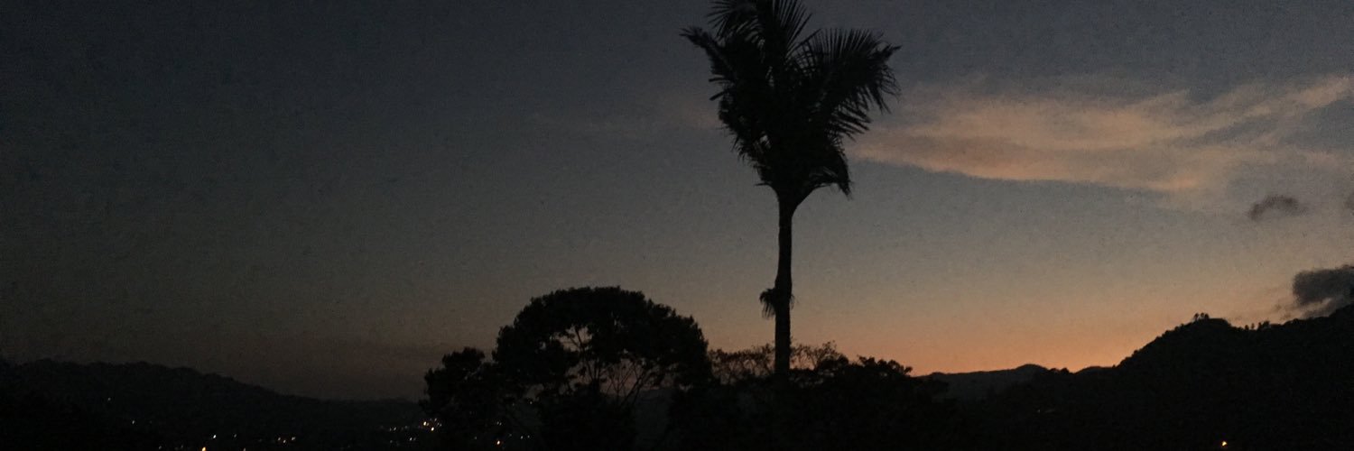 elimeji's profile banner image