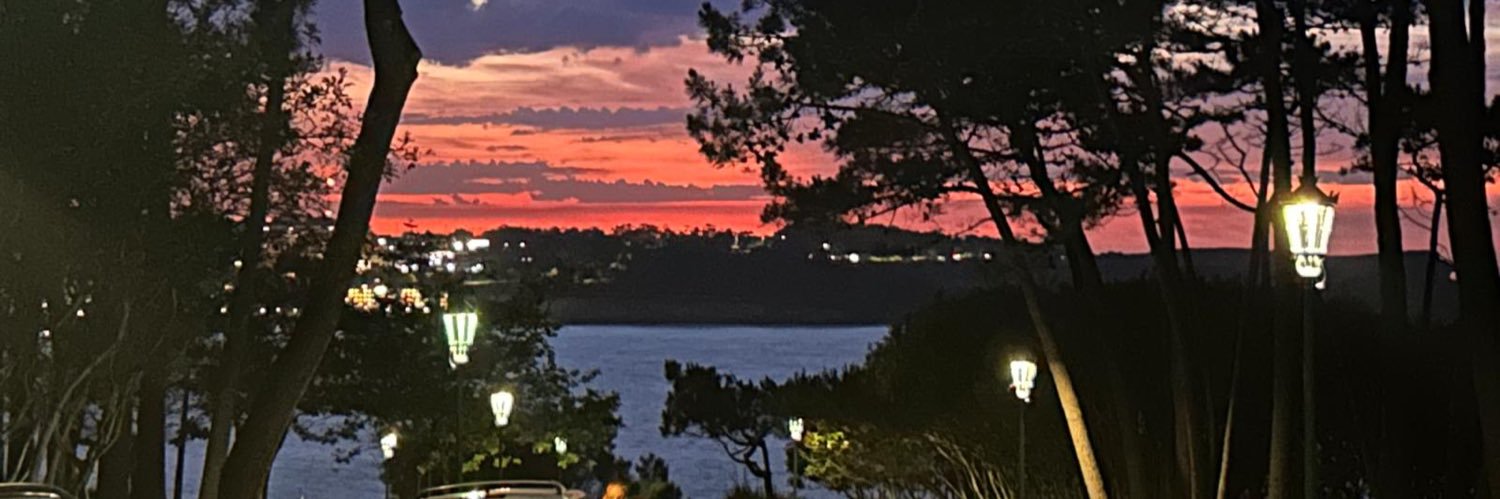 gsal67's profile banner image