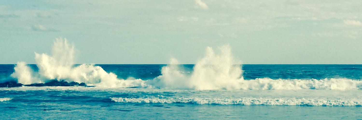 i_am_tmt_'s profile banner image