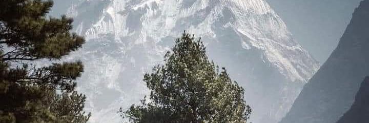 bulletvats's profile banner image