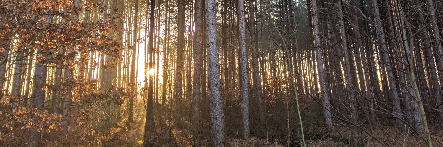 Teemkill. banner