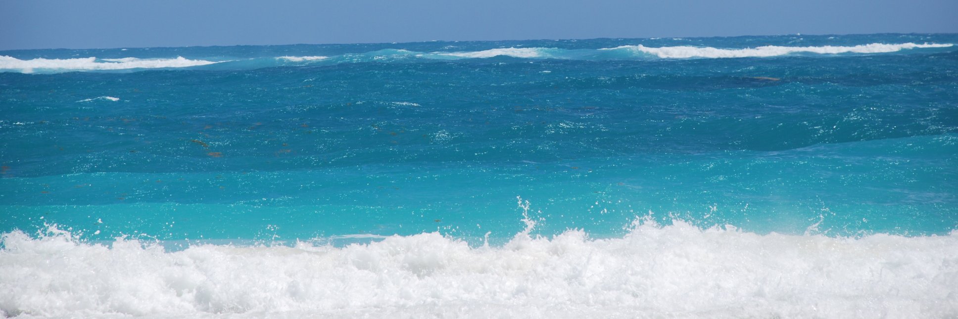 Stephen Fioretti banner