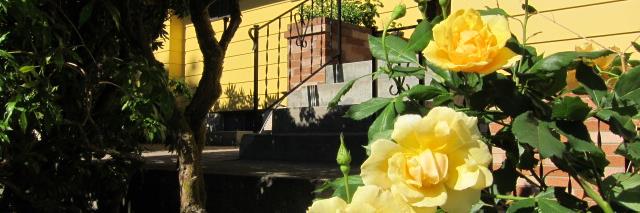 Jill of Many Ribosomes banner