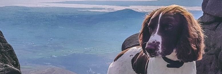 Dr Caroline Finlay banner