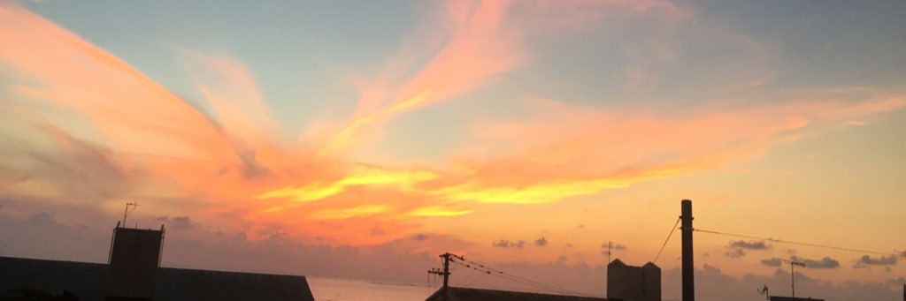Hashfishies's profile banner image