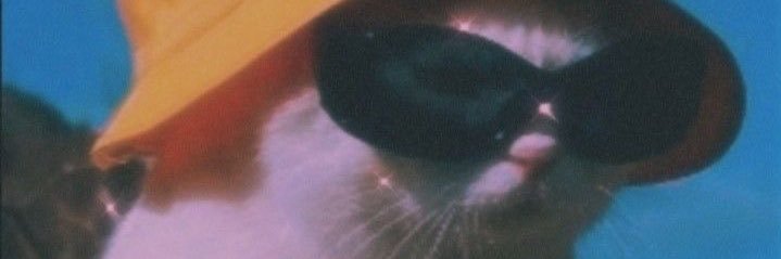 bassbearr's profile banner image