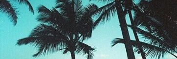 ade435555's profile banner image