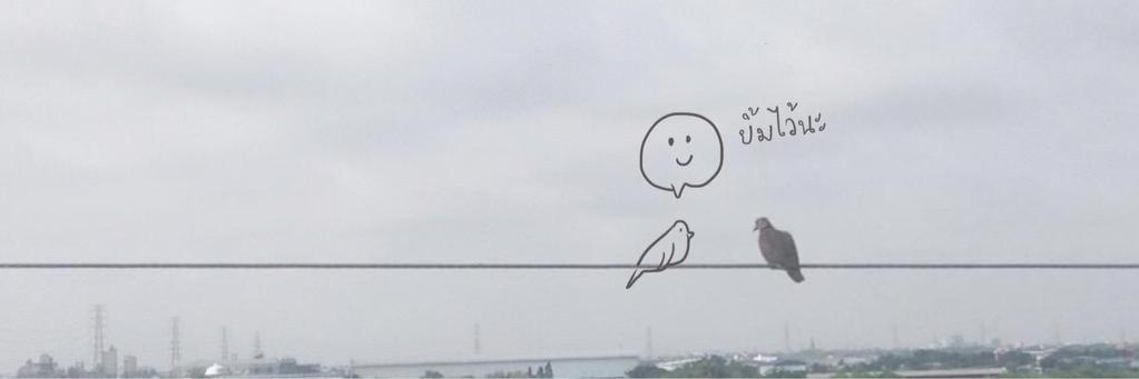 nuttamon39's profile banner image