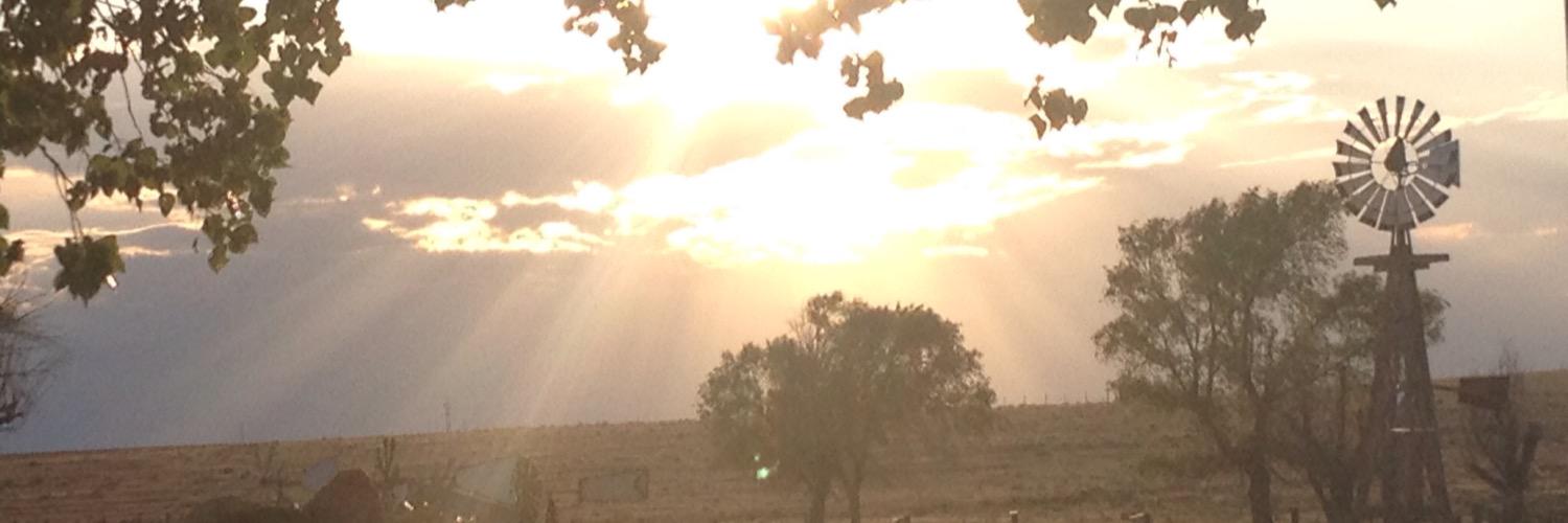 kelsE_lee's profile banner image
