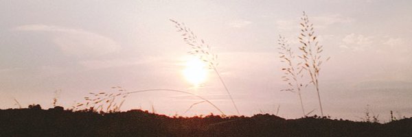 kelly86511 Profile Banner