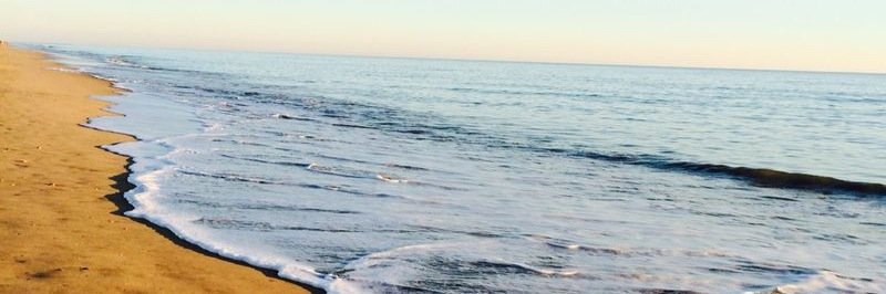 Berta Ferrero banner