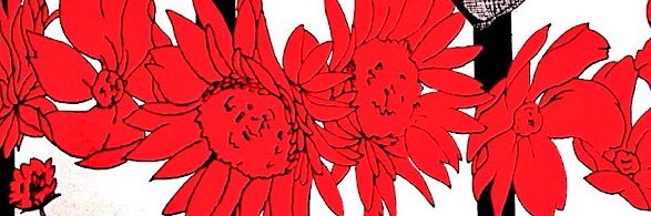 Mistral398's profile banner image