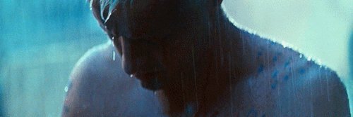 narkomandant's profile banner image