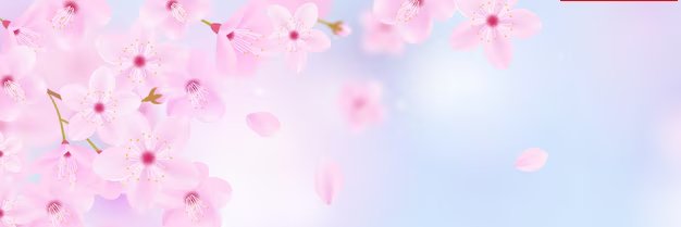 Uvacida's profile banner image