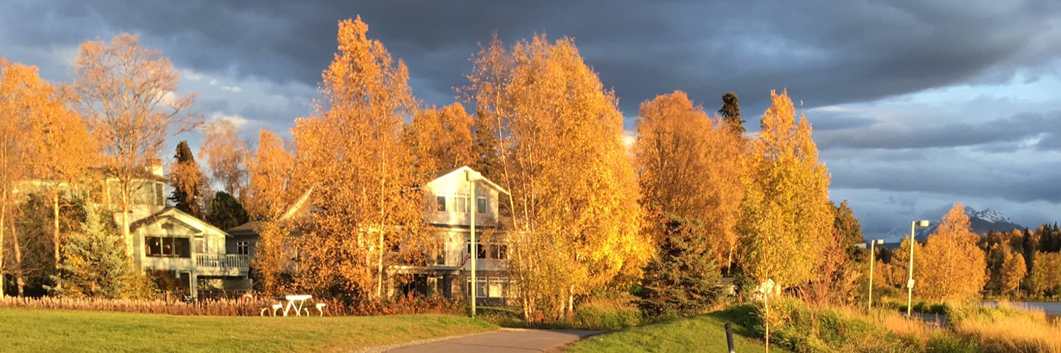 ReinouGroen's profile banner image